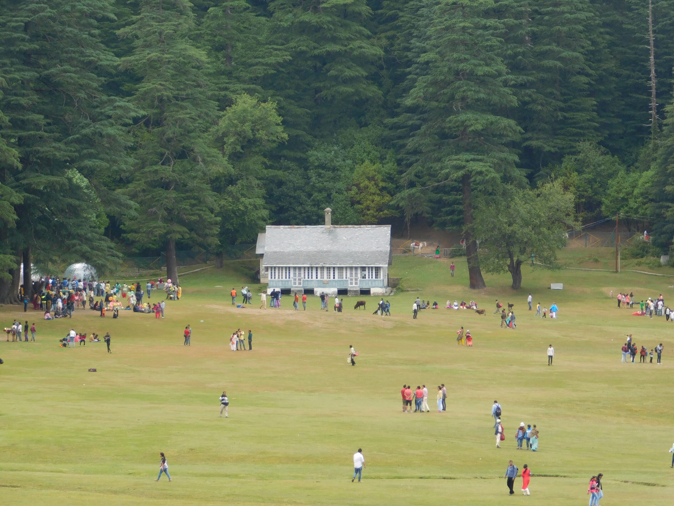 Dalhousie Nature Study Trek